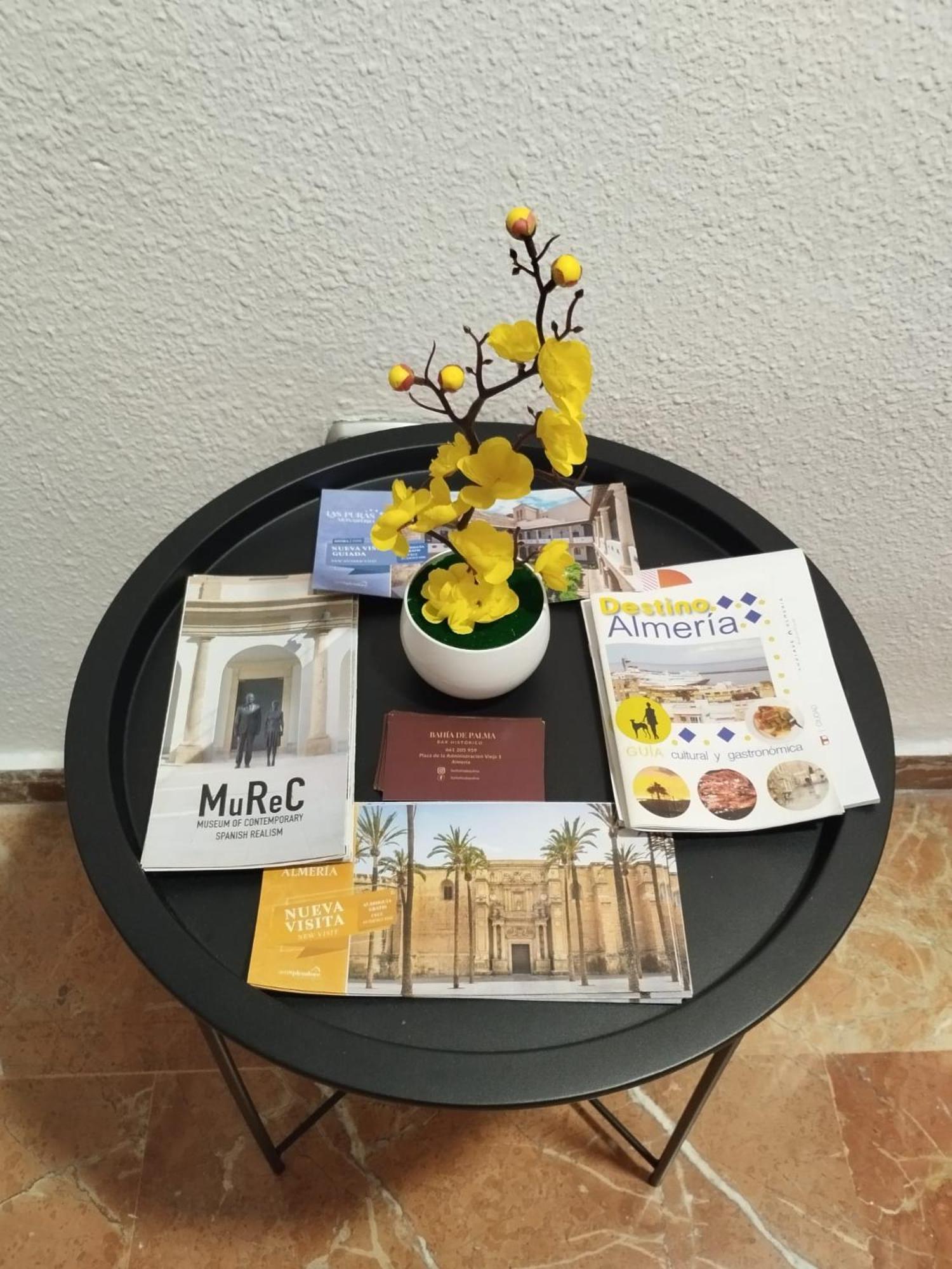 شقة Piso Museo Del Realismo - Catedral - Alcazaba Con Parking Gratis - Super Wifi المرية المظهر الخارجي الصورة